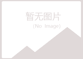 铜仁紫山能源有限公司